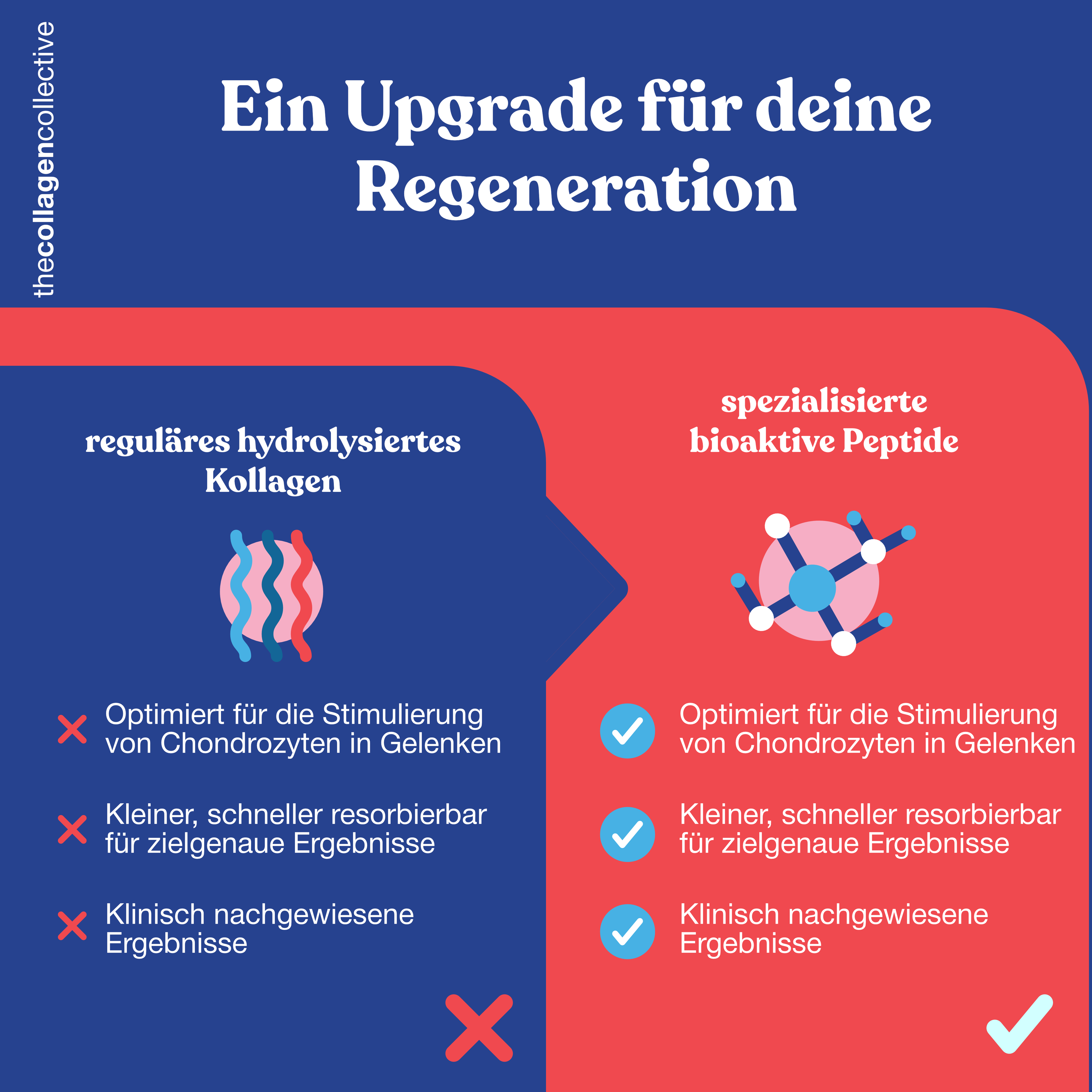 6 x Kollagen Kapseln für Gelenke