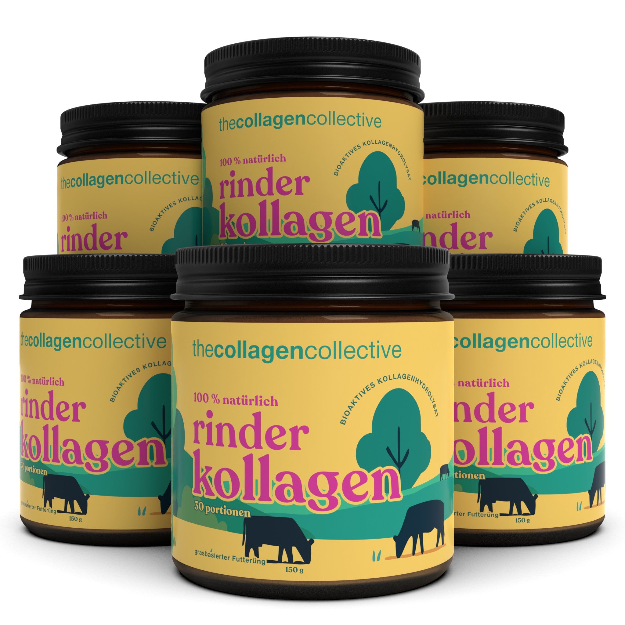6 x Rinder Kollagen Pulver