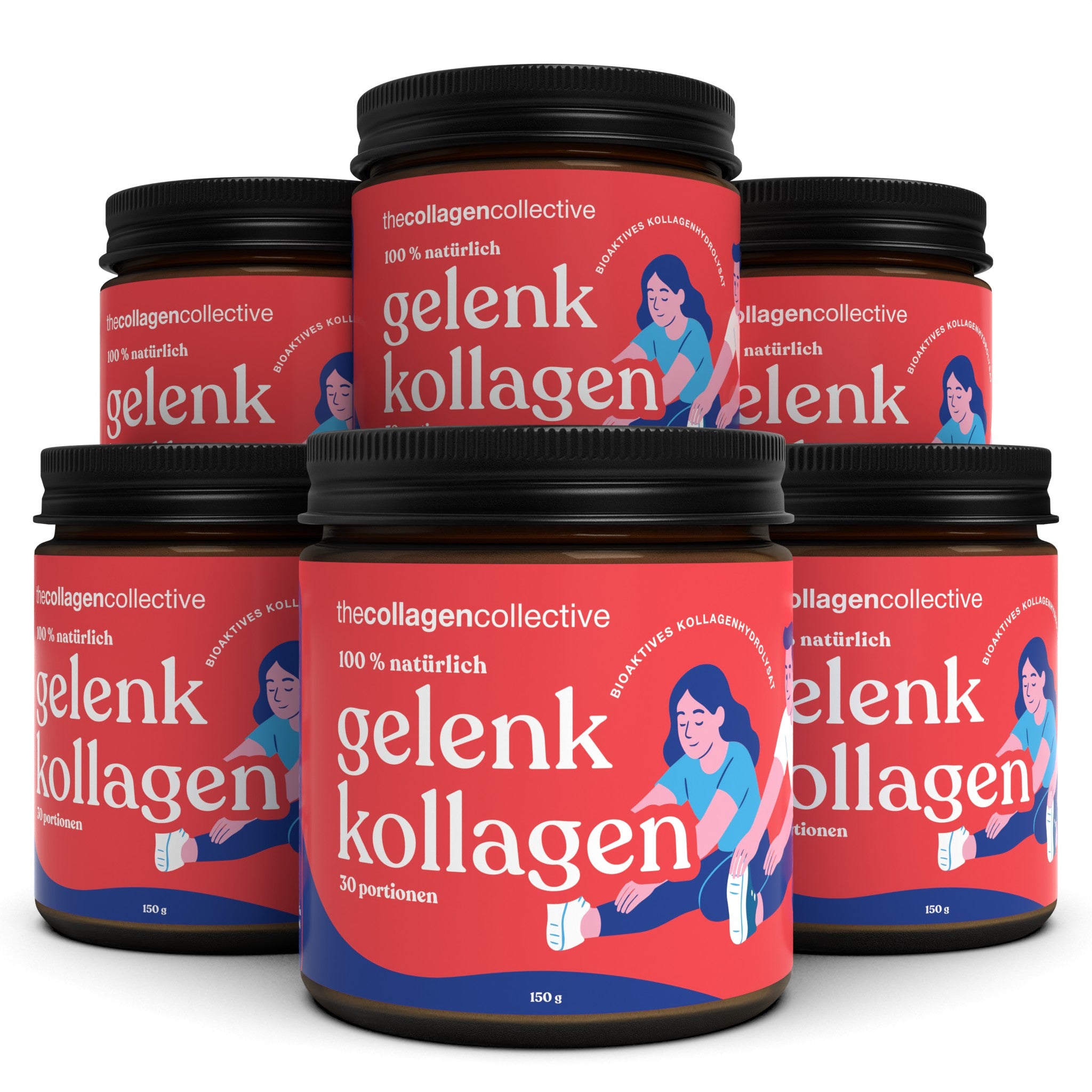 6 x Gelenk Kollagen Pulver