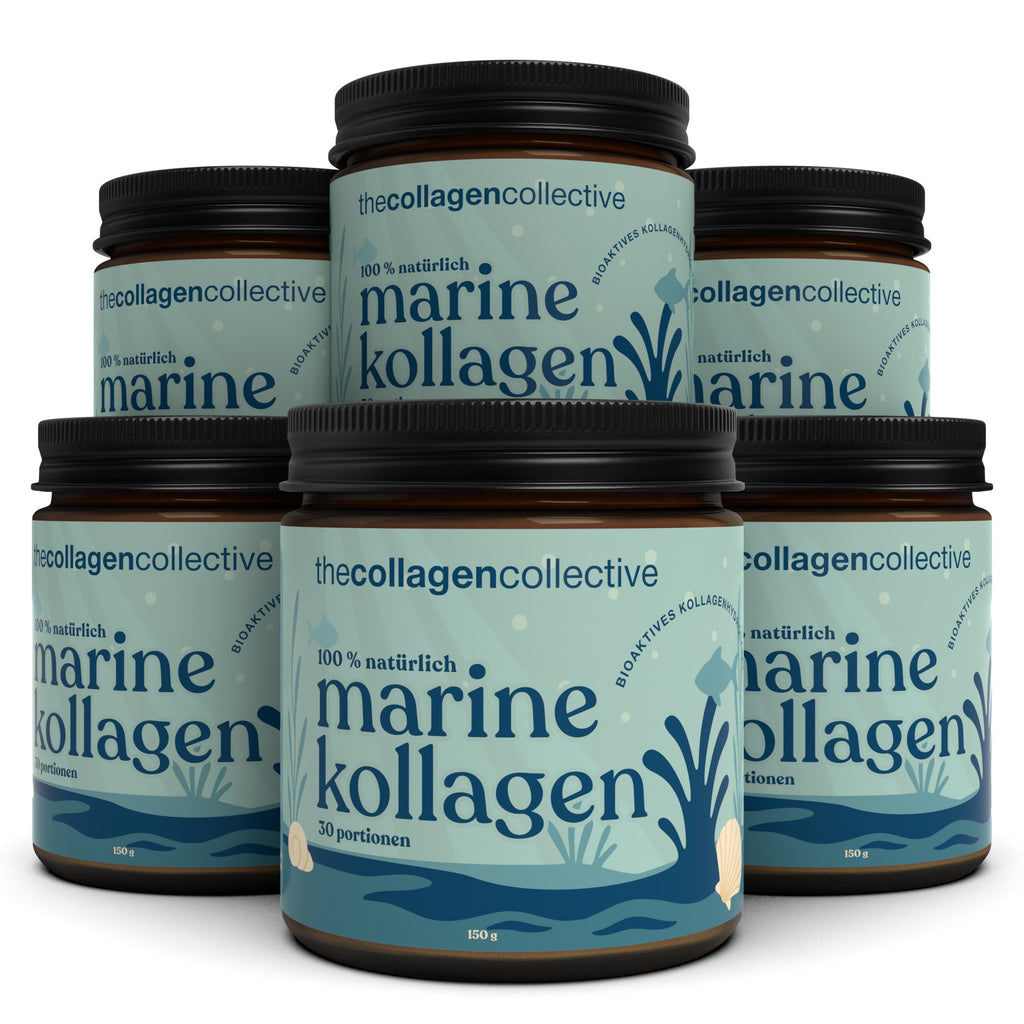 6 x Marine Kollagen Pulver