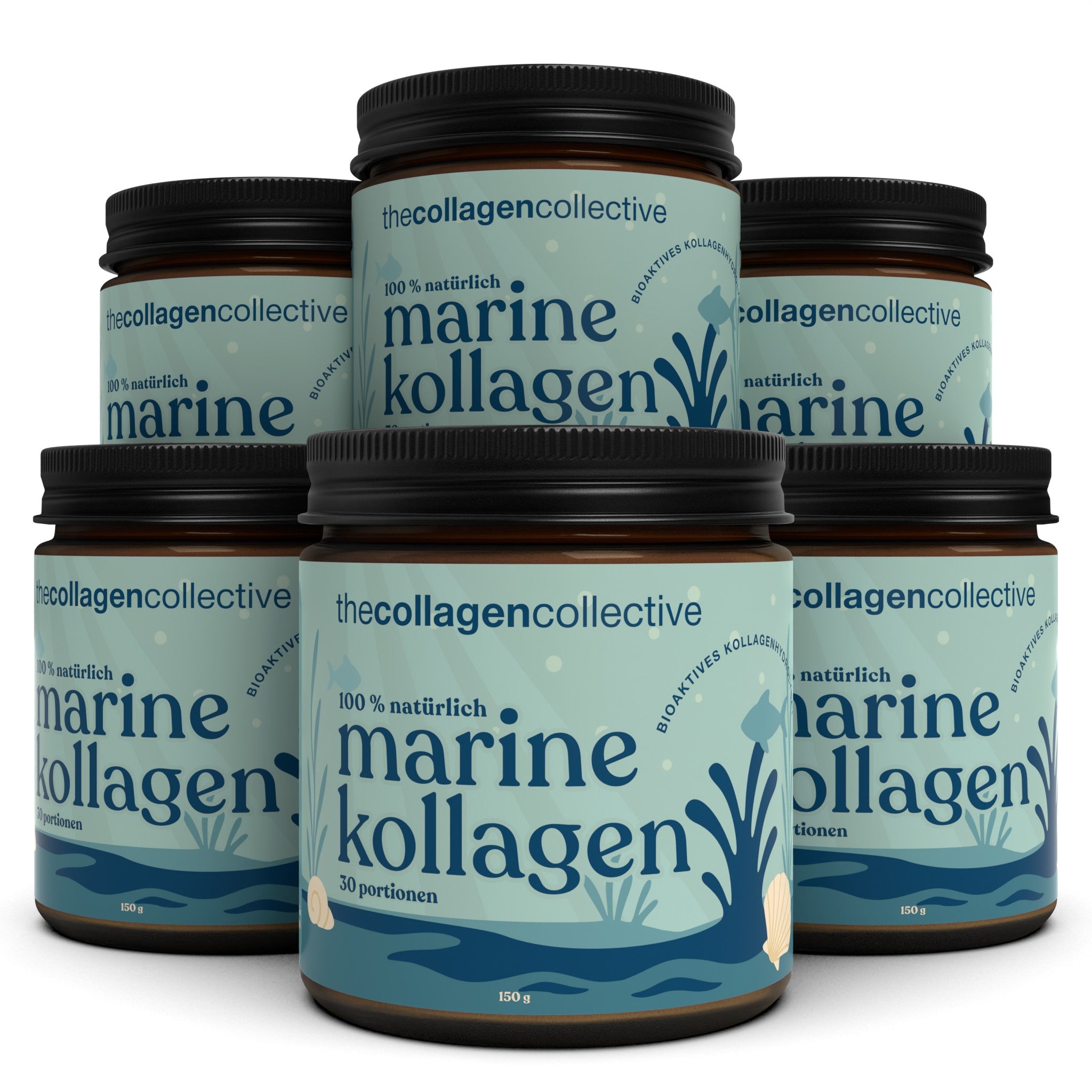 6 x Marine Kollagen Pulver