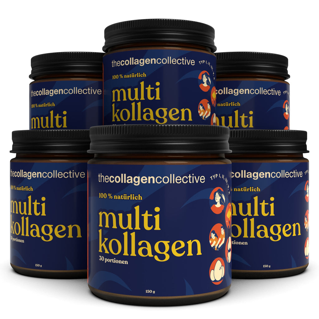 6 x Multi Kollagen Pulver